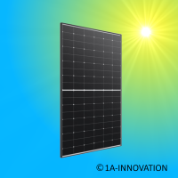 Solarmodul 460W Trina Solar Black Frame Glas-Glas...