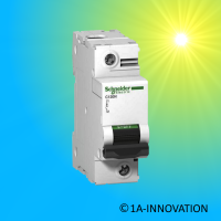 Schneider Electric Leitungsschutzschalter A9N18358 C120N...